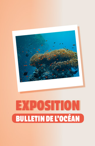 Exposition bulletin de l'océan à l'abordage