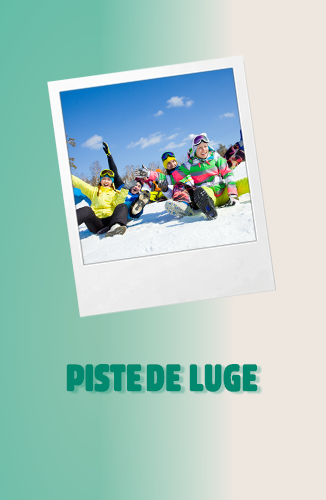 Vignette Piste de Luge
