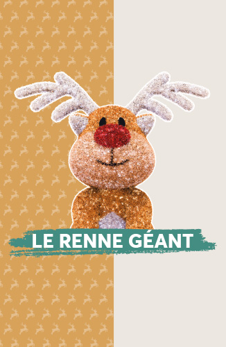 326x500_RenneGeant_PageDediee_PoitiersNoel.jpg