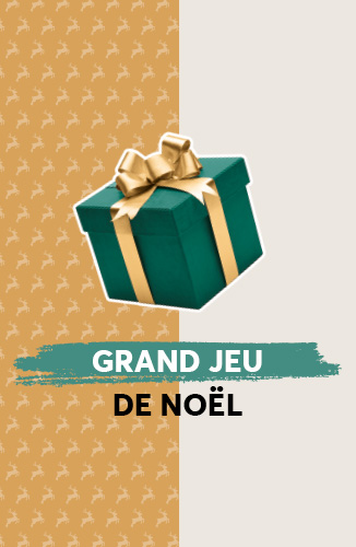 326x500_GrandJeu_PageDediee_PoitiersNoel.jpg